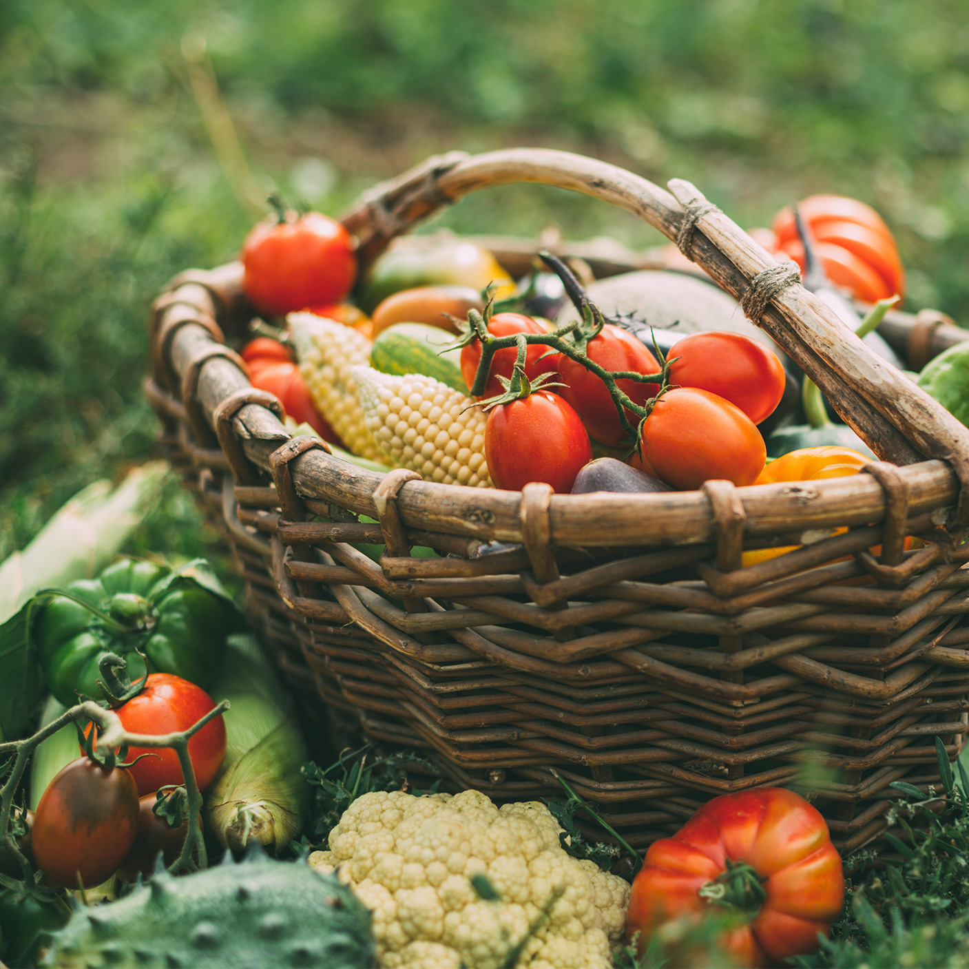 Tenuta Ara del Tufo Orto PLUS box verdure fresche