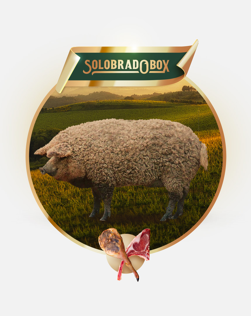 Solobrado Fresche Maiale di Mangalica Intero da Macelleria