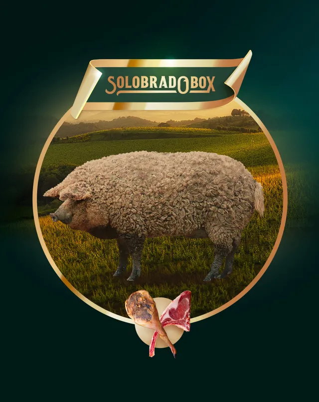 Solobrado Fresche Maiale di Mangalica Intero da Macelleria